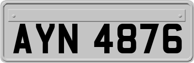 AYN4876