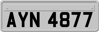 AYN4877