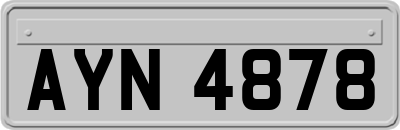 AYN4878