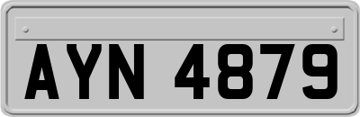 AYN4879