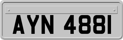 AYN4881