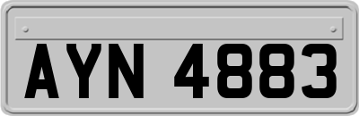 AYN4883