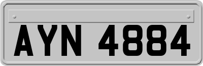 AYN4884