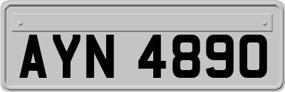 AYN4890