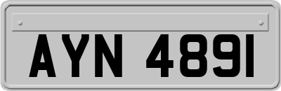 AYN4891