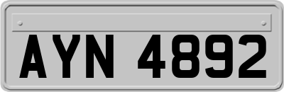 AYN4892