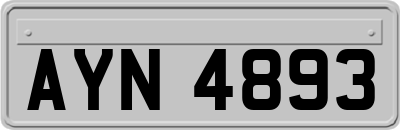 AYN4893