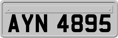AYN4895
