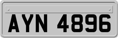 AYN4896