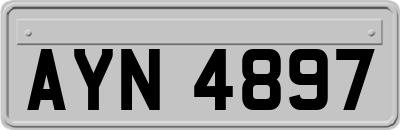AYN4897