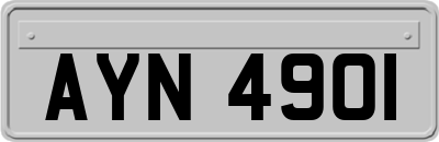 AYN4901