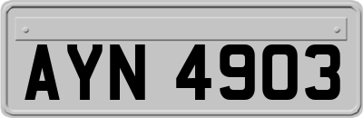 AYN4903