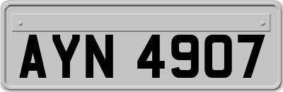 AYN4907