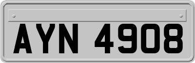 AYN4908