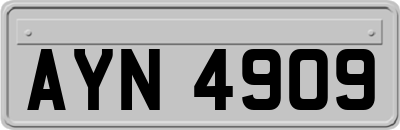 AYN4909