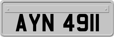AYN4911