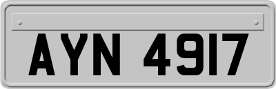 AYN4917