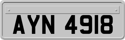 AYN4918
