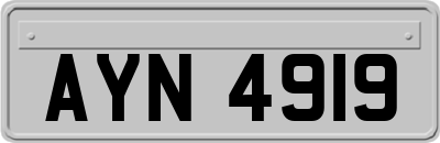 AYN4919