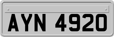 AYN4920