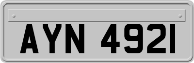 AYN4921