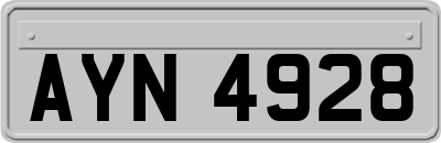 AYN4928