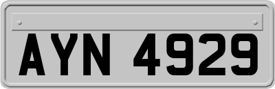 AYN4929