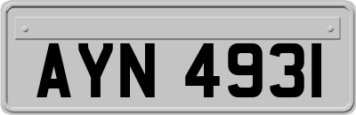 AYN4931