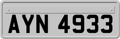AYN4933