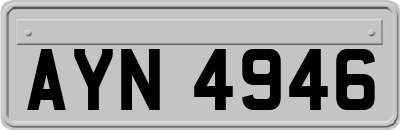 AYN4946