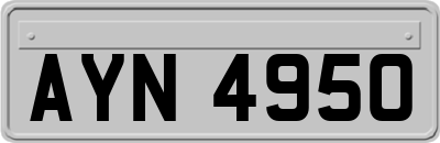 AYN4950