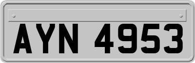 AYN4953