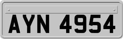 AYN4954