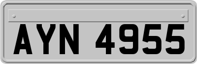 AYN4955