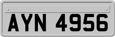 AYN4956