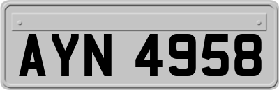 AYN4958