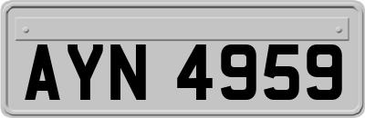 AYN4959
