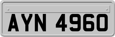 AYN4960