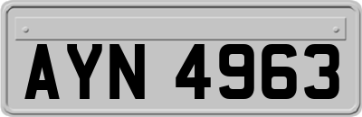 AYN4963
