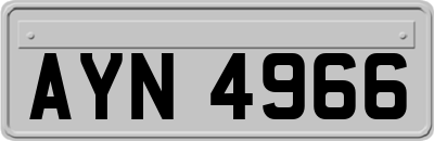 AYN4966