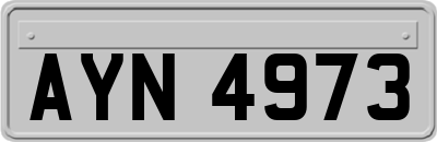 AYN4973