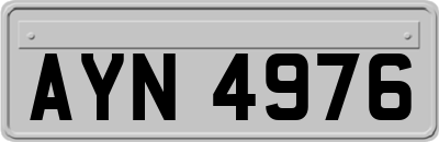 AYN4976
