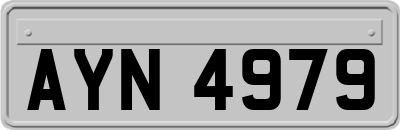 AYN4979