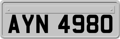 AYN4980