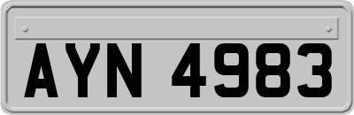 AYN4983
