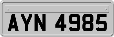 AYN4985