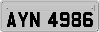AYN4986