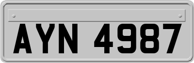AYN4987
