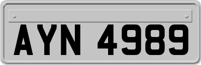 AYN4989