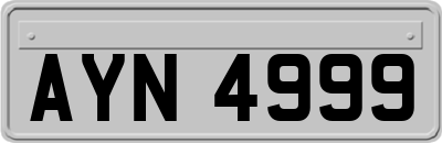 AYN4999